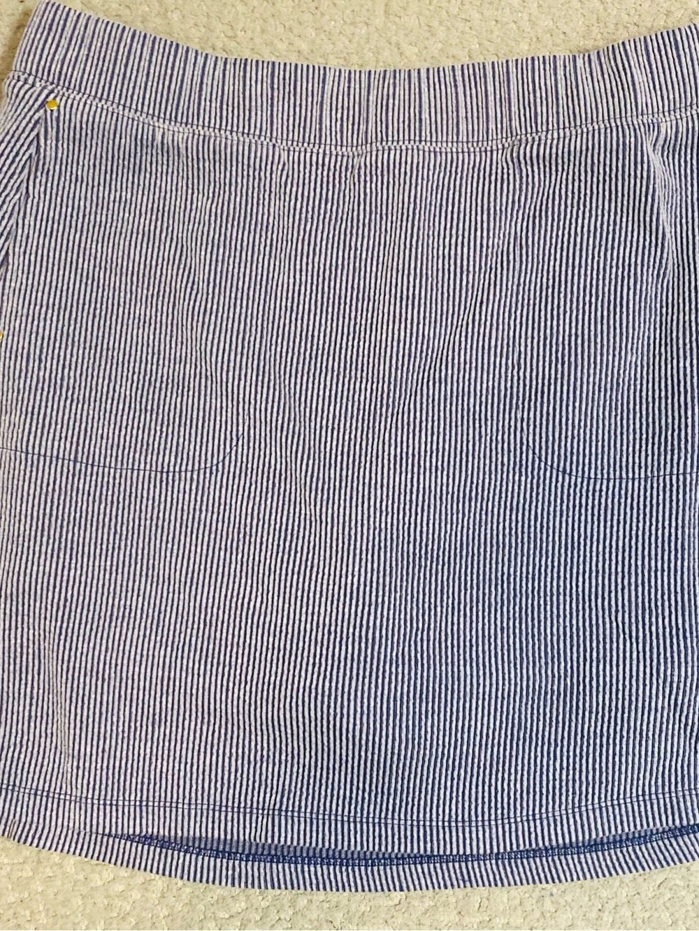 Striped Blue and White Mini Skirt with shorts